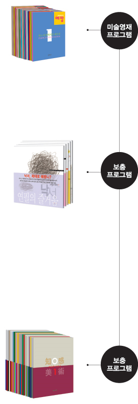 미술영재프로그램, 보충프로그램